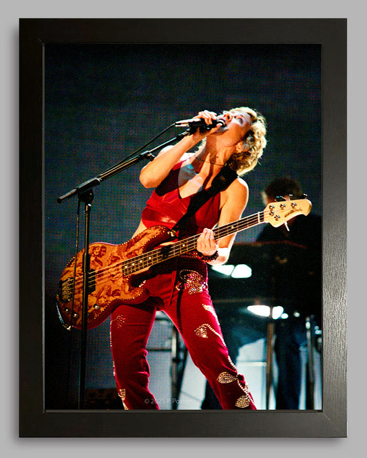 Sheryl Crow 4 - Original Photo, Inkjet Print