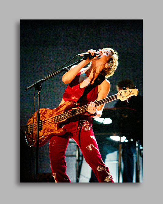 Sheryl Crow 4 - Original Photo, Inkjet Print