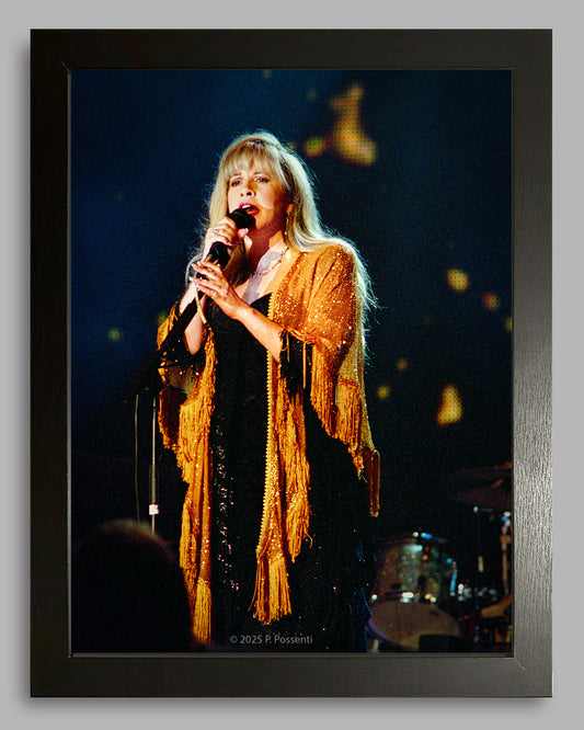 Stevie Nicks - Original Photo, Inkjet Print